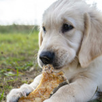 AdobeStock_456581529 kopie