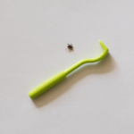 Hoe verwijder je een teek?