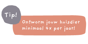 button-ontworm