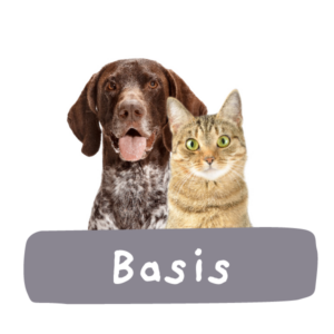 home-banner-basis-600x600