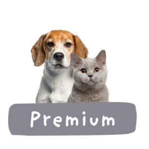 home-banner-premium-600x600