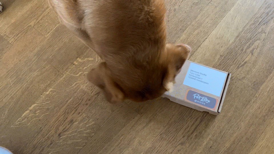 IMG_8663_AdobeExpress